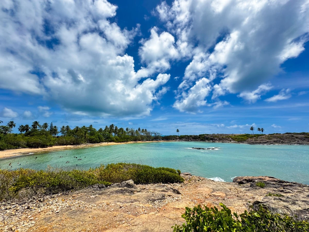 Ilha de Santo Aleixo